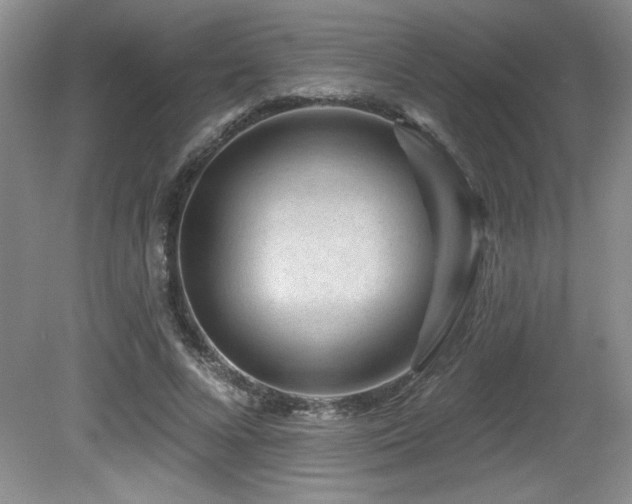 X0000080790688200612151455