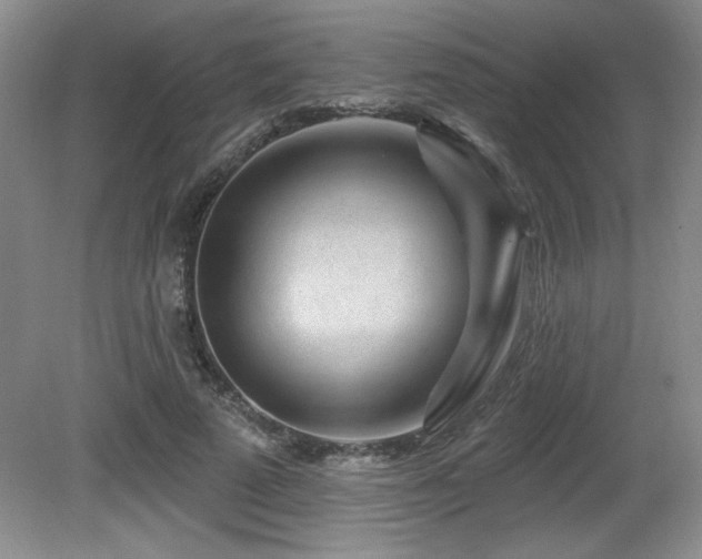 X0000080790689200612151455
