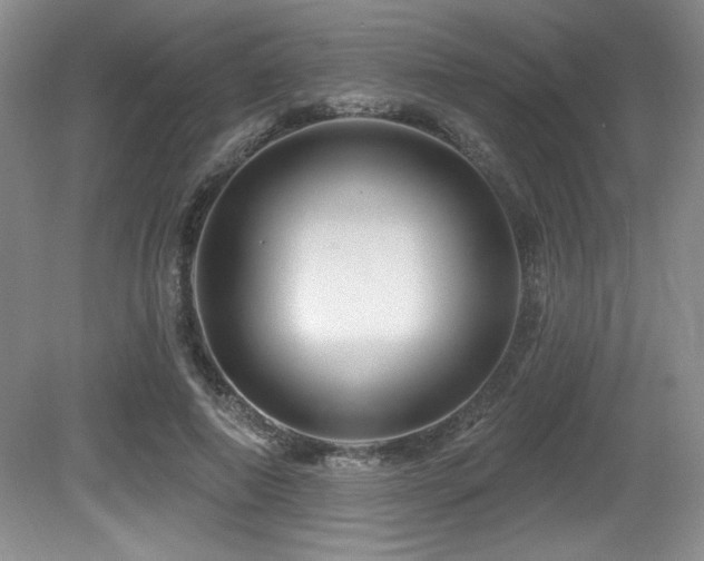 X0000080790690200612151455