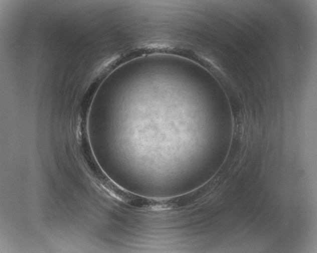 X0000080790692200612151455