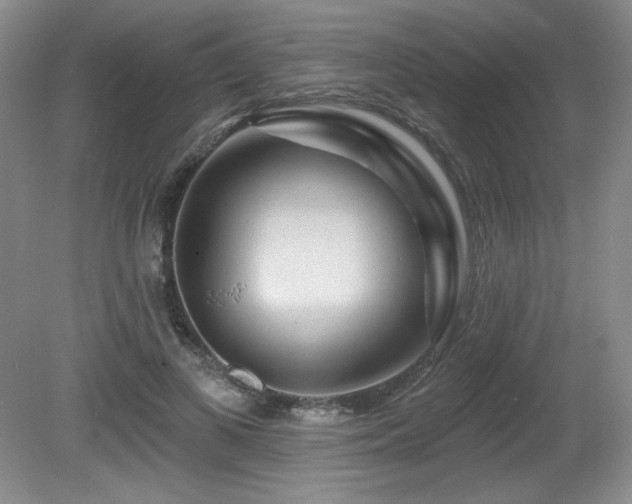 X0000080790693200612151455