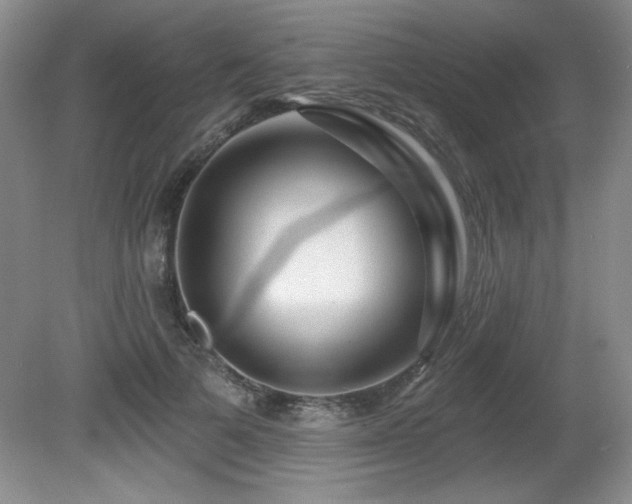 X0000080790697200612151455