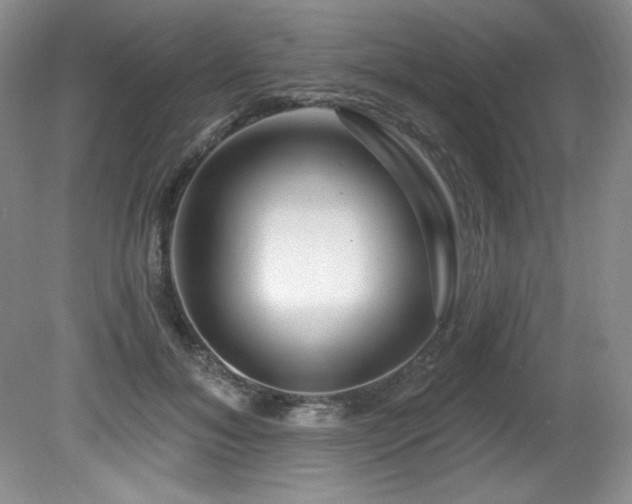 X0000080790700200612151455