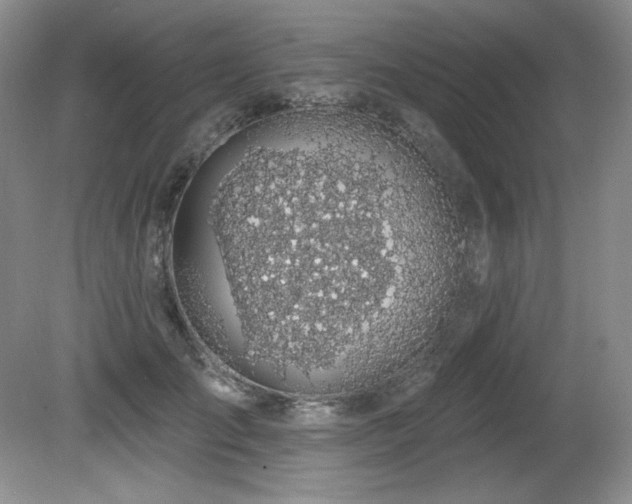 X0000080790701200612151455