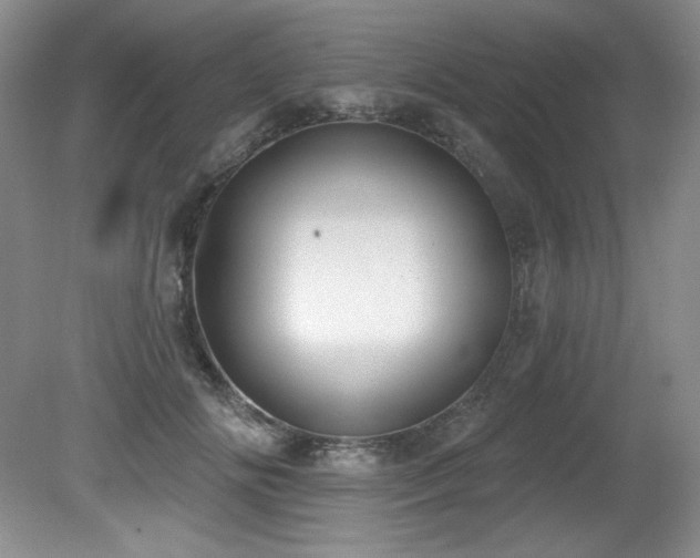 X0000080790702200612151455