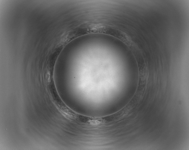 X0000080790703200612151455