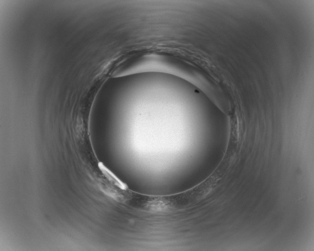 X0000080790704200612151455
