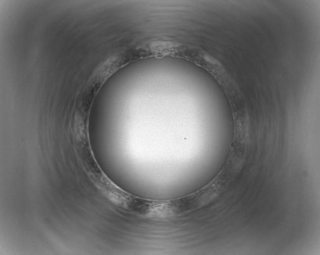X0000080790705200612151455