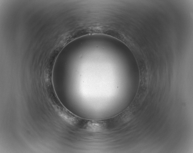 X0000080790706200612151455