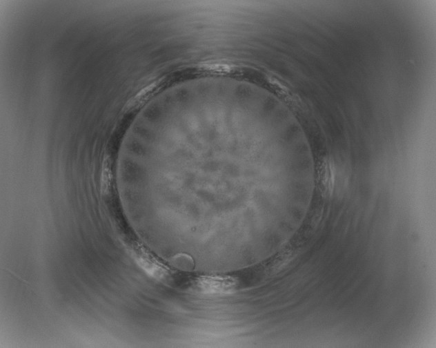 X0000080790707200612151455