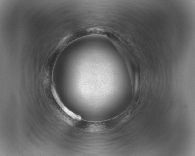 X0000080790708200612151455