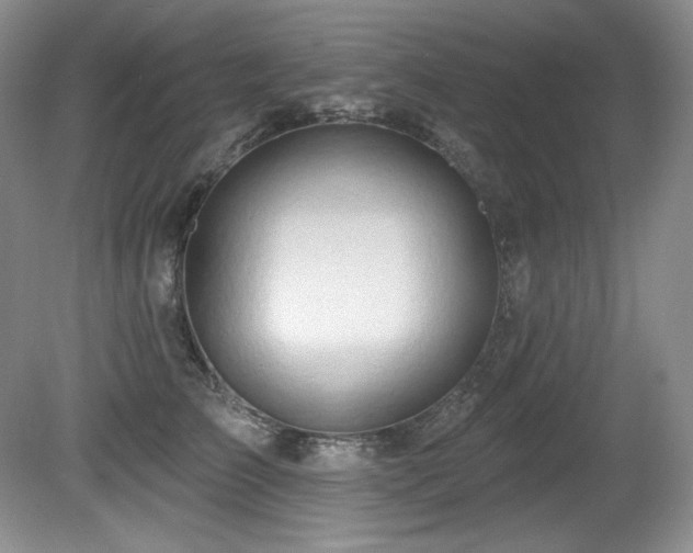 X0000080790709200612151455