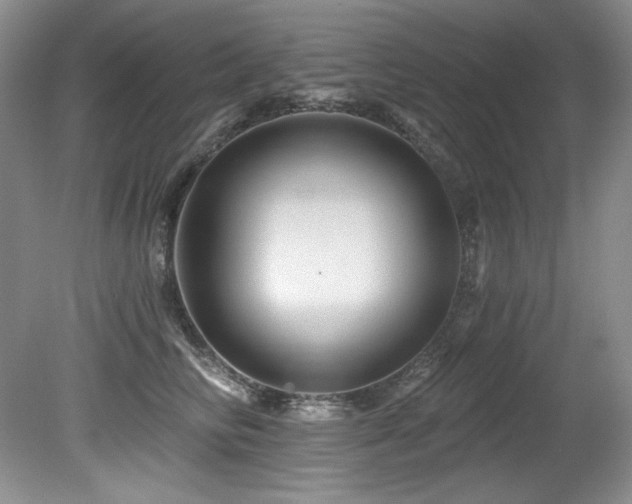 X0000080790710200612151455
