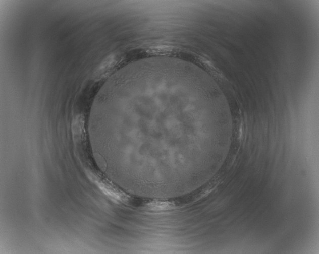 X0000080790711200612151455