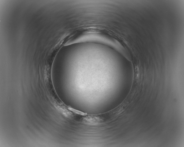 X0000080790712200612151455