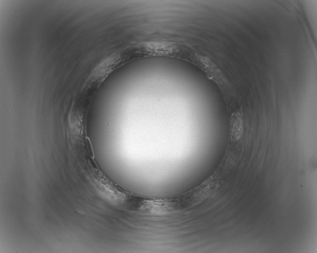 X0000080790713200612151455