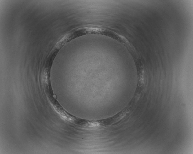 X0000080790715200612151455