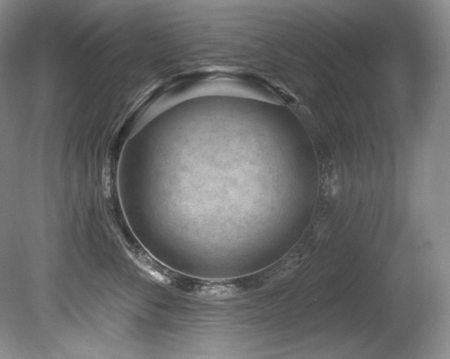 X0000080790716200612151455