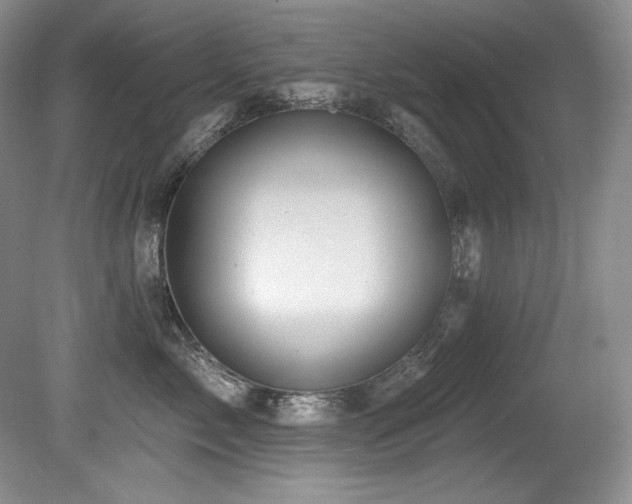X0000080790717200612151455