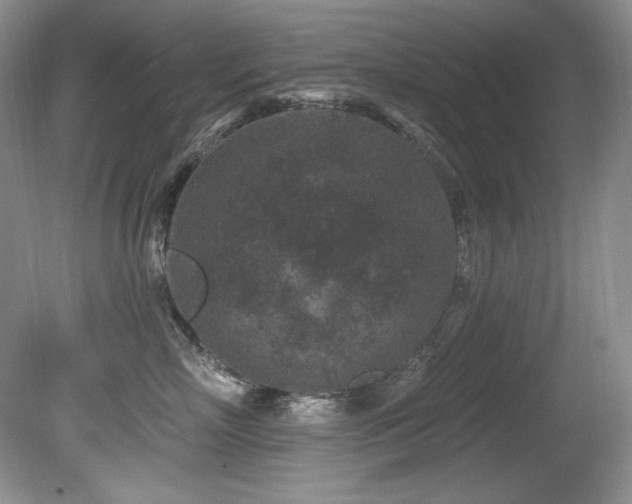 X0000080790718200612151455