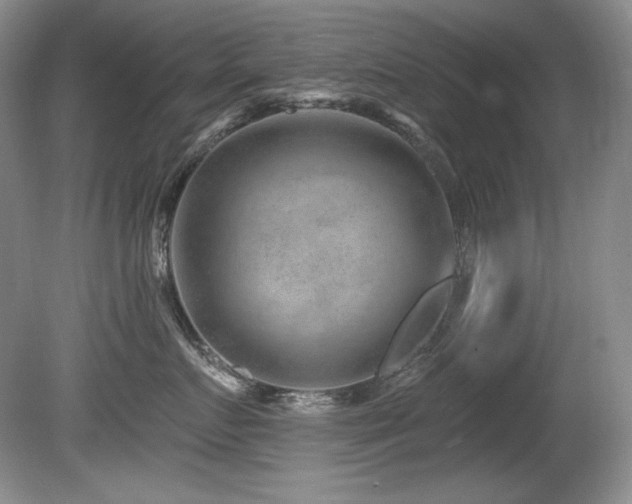X0000080790719200612151455