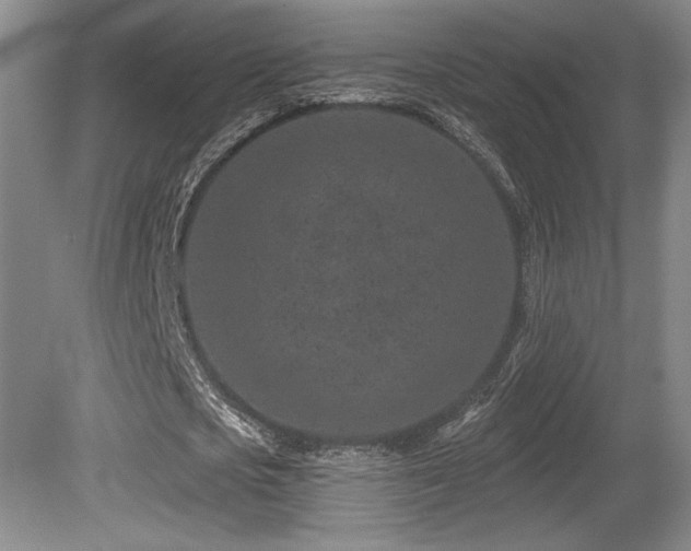 X0000080790721200612151454