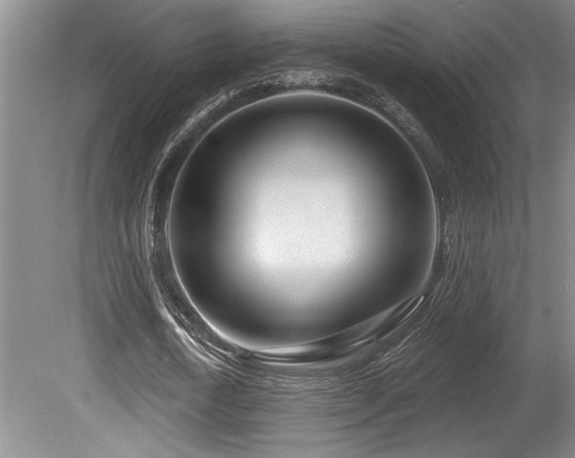 X0000080790722200612151454