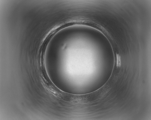 X0000080790723200612151454