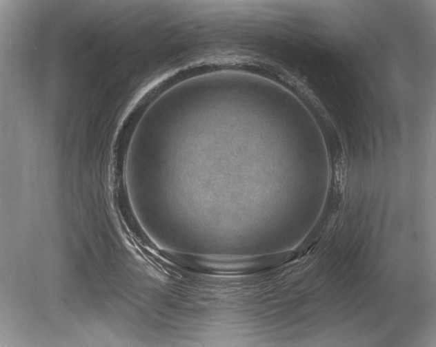 X0000080790724200612151454