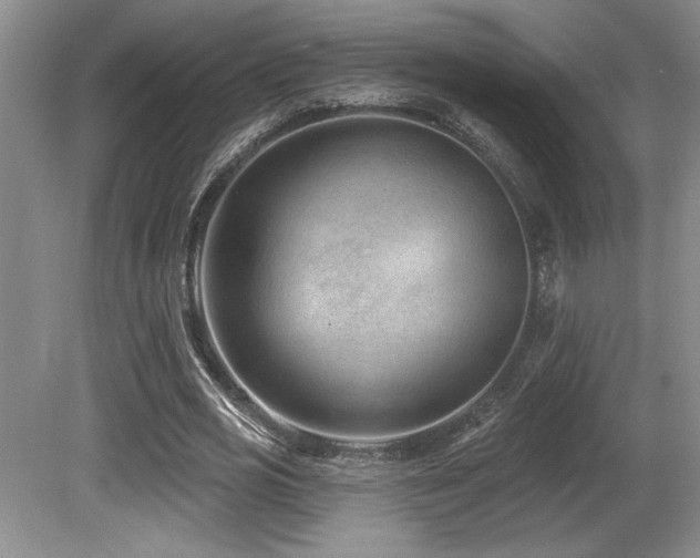 X0000080790725200612151454