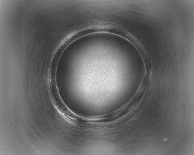 X0000080790726200612151454