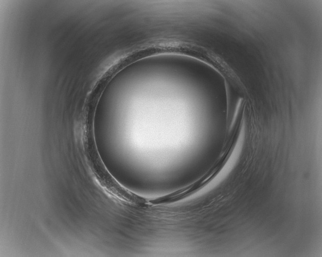 X0000080790728200612151454
