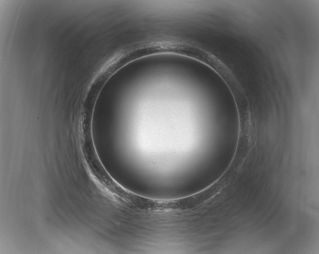 X0000080790730200612151454