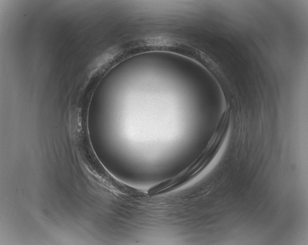 X0000080790731200612151454