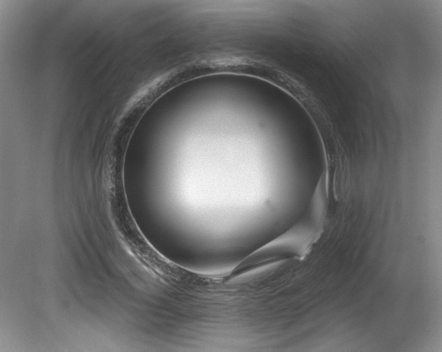 X0000080790732200612151454