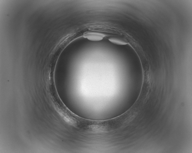 X0000080790733200612151454