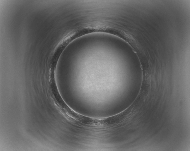 X0000080790735200612151454
