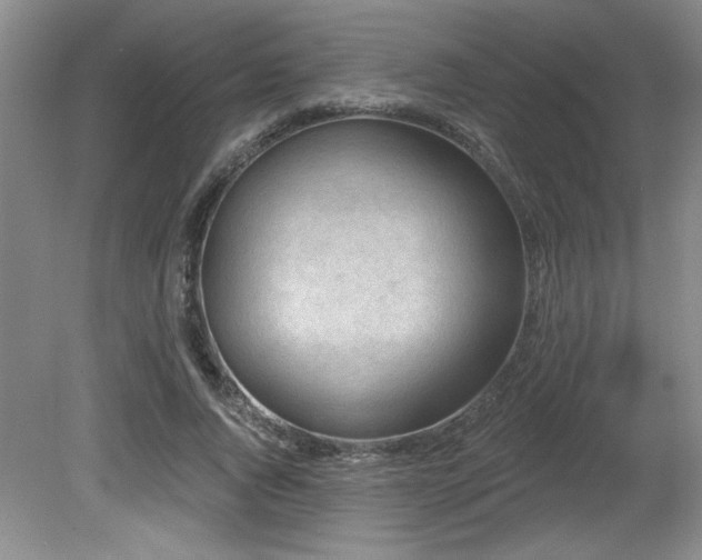 X0000080790736200612151454