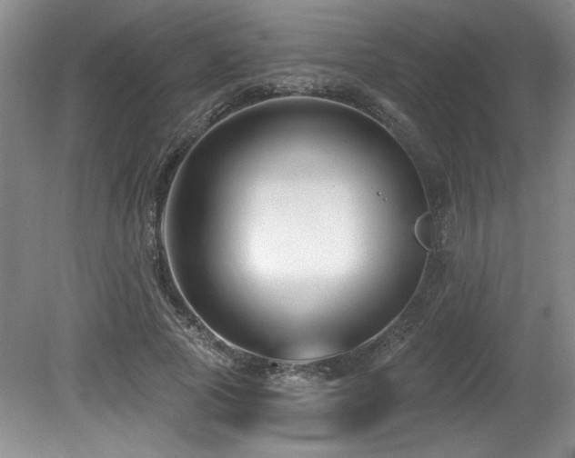 X0000080790737200612151454