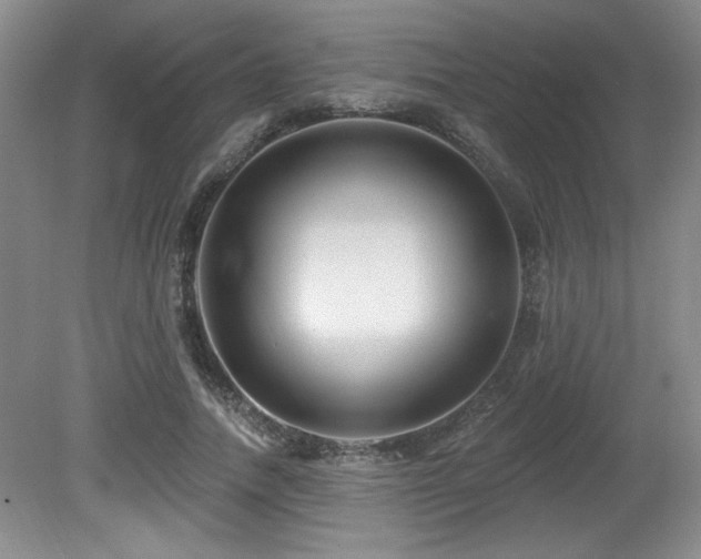 X0000080790738200612151454