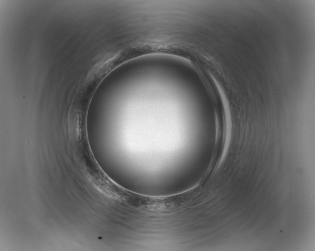X0000080790740200612151454
