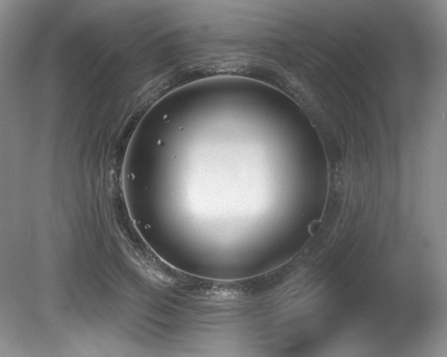 X0000080790741200612151454