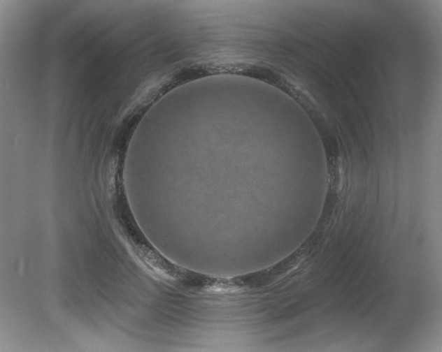 X0000080790742200612151454