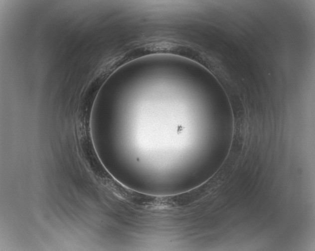 X0000080790743200612151454