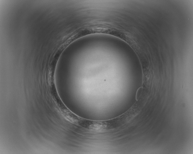 X0000080790745200612151454