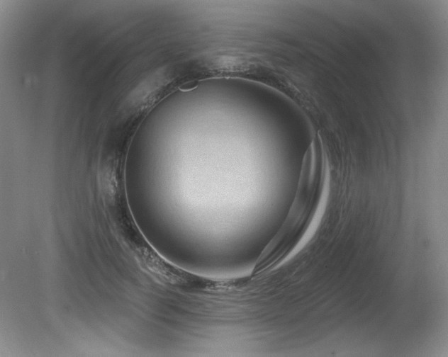 X0000080790746200612151454