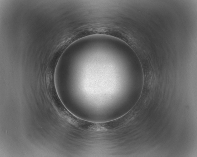 X0000080790747200612151454