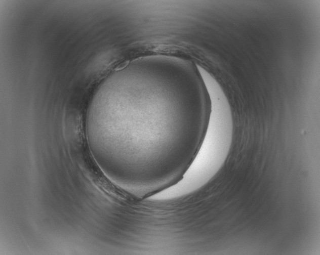 X0000080790748200612151454