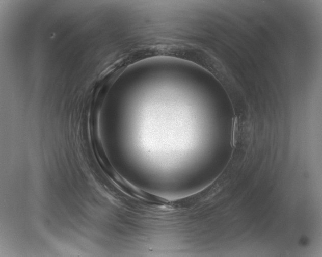 X0000080790750200612151454