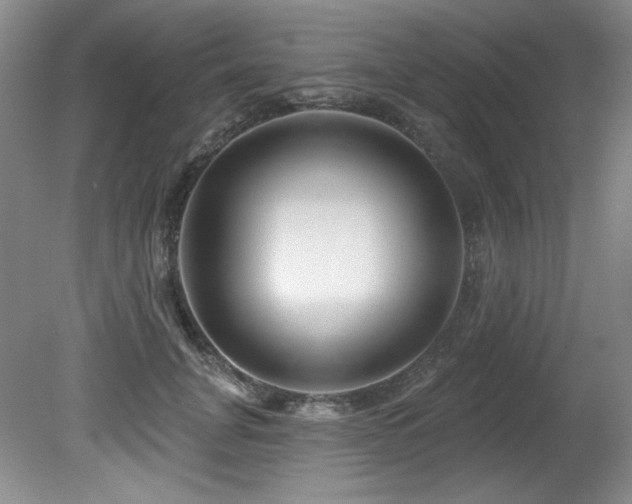 X0000080790751200612151454